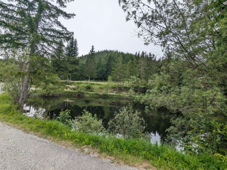 Traisental Radweg-Hubertussee