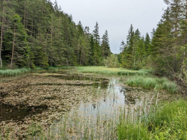 Traisental Radweg-Hubertussee