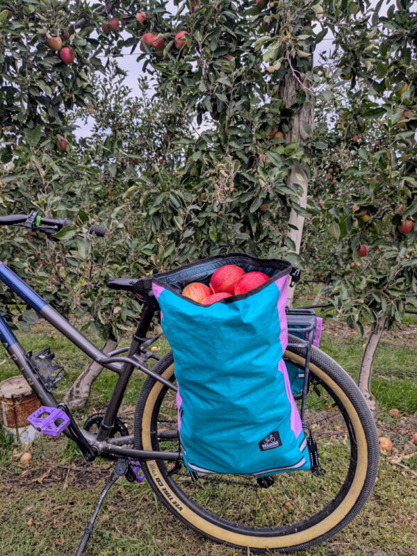 Brashna pannier