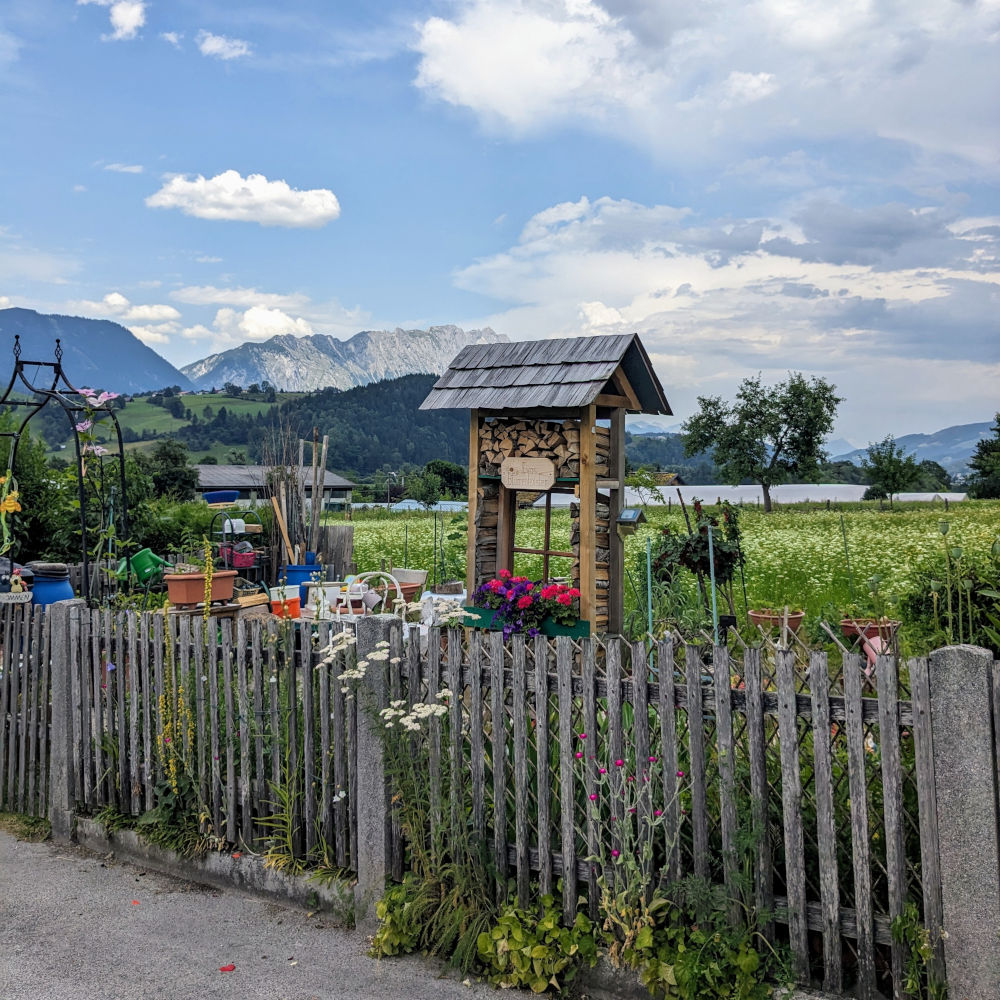 Enns Radweg