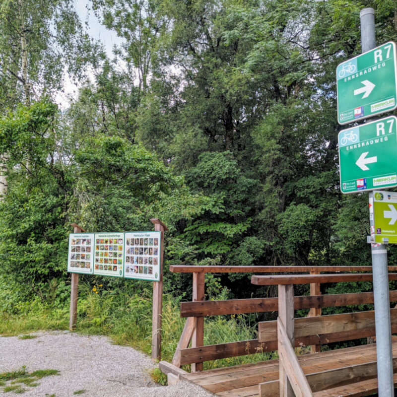 Enns Radweg